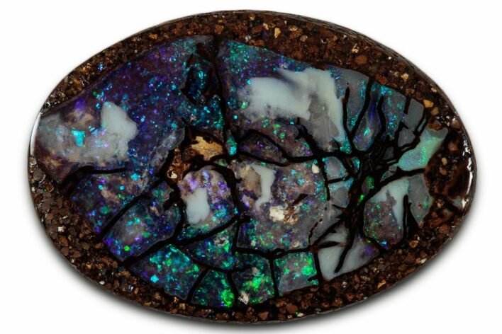 Colorful Polished Boulder Opal Specimen - Queensland, Australia #351853